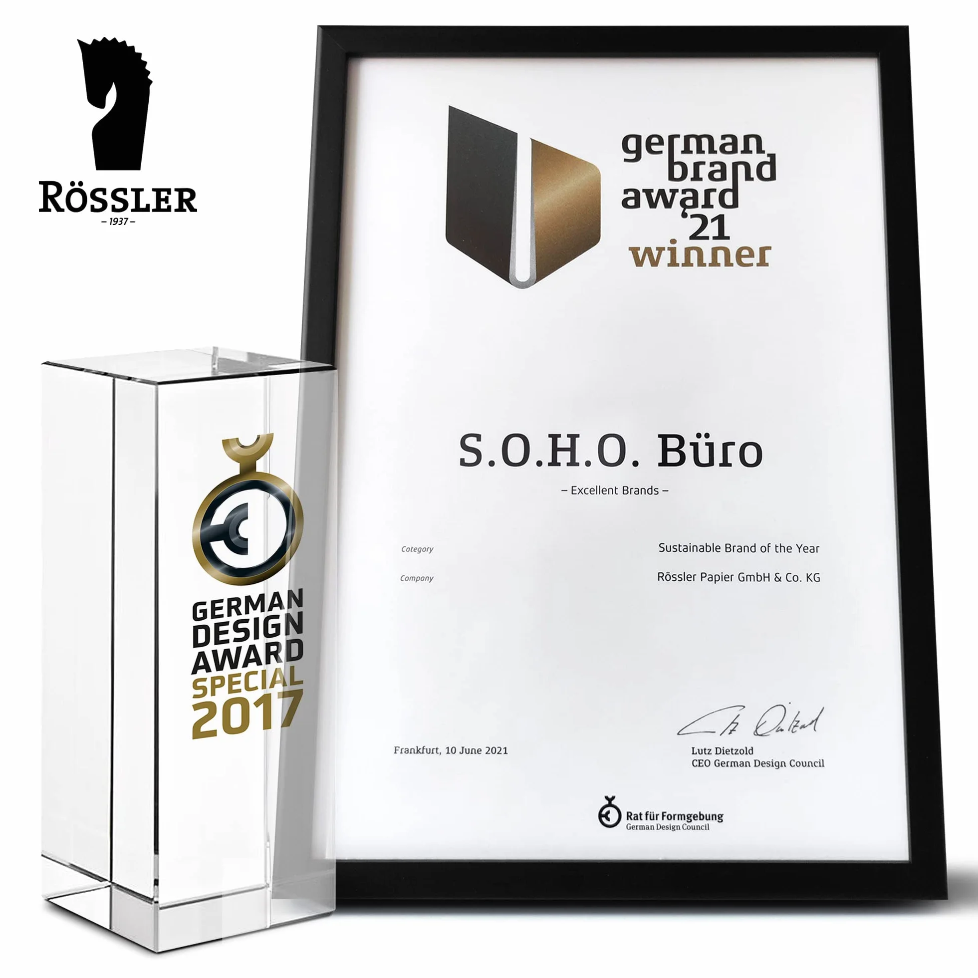 Rössler Papier 1316452580 - S.O.H.O. Segregator ringowy na DIN A4, wysokość 2,5 cm, mechanizm 2-ringowy, Powder, 1 szt.